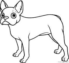 Download and print these boston terrier printable coloring pages for free. Cartoon Boston Terrier Coloring Page Coloringall