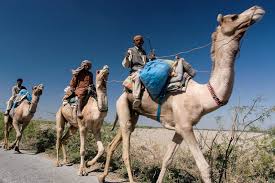 This video is been recorded by hussain of elai, buner. Stage 7 Pakistan The Indus Valley 2 3 Eurasiaoverland