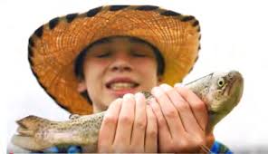 2019 Colorado State Recreation Lands