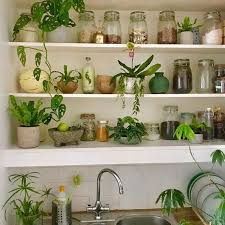 9 ways to decorate above your kitchen cabinets. Creating An Urban Jungle In Your Kitchen Solid Wood Kitchen Cabinets Blog