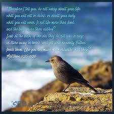 Look At The Birds Of The Air Niv Worry It Creeps In And And Unchecked Can Darken Any Day Matthew 6 25 26 Answers This Fear Therefore I Tell You Do Not Worry Ab In 2020 Told You So No Worries Life