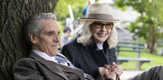 Love Weddings And Other Disasters Movie Review For Parents