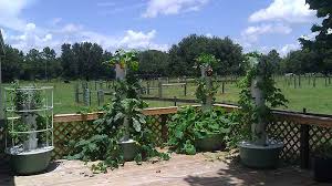 We did not find results for: Tower Garden By Juice Plus Put A Farmers Market On Your Back Porch