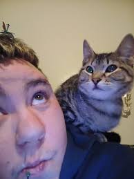 What is chrysocolla malachite stone?