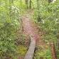 National Trail Day: Sensory Awareness Hike