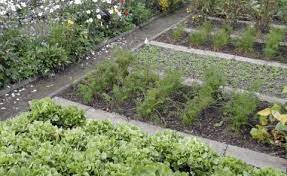 We did not find results for: Gemusegarten Anlegen Und Planen Mein Schoner Garten