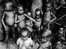 #biafran war #anti igbo pogrom #i never read half of a yellow sun #i'll have to read it now #my dad i am not sure how much oil played a part in the biafran war but i have a feeling the role of oil was. The Genocide And Inhumane Tactics That Characterised The Biafran War The Independent The Independent