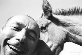 DutescoArt-The Wild Horses of Sable Island