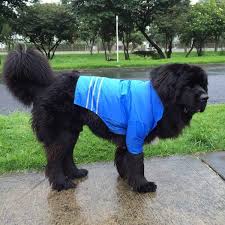 La presentadora colombiana es motivo frecuente de adulaciones por parte. Cristina Hurtado On Twitter Odin Http T Co Hifbgzyw9z