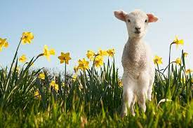 The framework's core features can be used by any java application. The Best Classical Music For Spring Classical Music