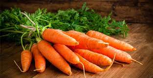 Wortel juga sangat baik untuk kencantikan dan kulit manusia apa saja manfaatnya. 11 Manfaat Wortel Sumber Vitamin Khasiat Tak Main Main