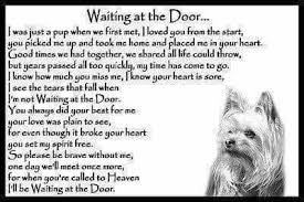 Pin By Lisa Hillman Mansell On To My Sweet Yorkie Beauregard Rip 2003 2017 Yorkie Yorkshire Terrier Yorkshire Terrier Dog Dog Memorial