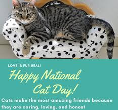 Hope it will inspire you to spend even more time with people who make a difference in your. National Cat Day 2021 Wishes Messages Quotes Greetings