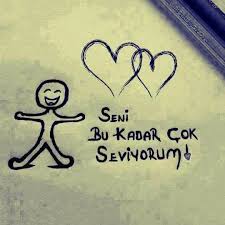 Sol yanım acıyor şeklinde cümle içinde kullanabilir.* sen sevdanın özü ah sen düşlerin gözü sen yarının sözü ah canım benim sol yanım benim. Sol Yanim Home Facebook