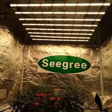 Best grow lights for tent. The Best Led Grow Light For 6x6 Grow Tent Best Led Grow Lights Led Grow Lights Grow Lights