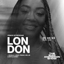 THE SIAN ANDERSON SHOW (LONDON) at Prince of Peckham Pub, London