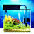 Fish Tank Decoration Ideas At Home