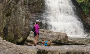 A Maryland Waterfalls Tour Along the Northern Chesapeake Bay » Maryland  Road Trips