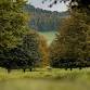 Bakewell Hike Club - 17th December event image