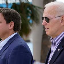 Image result for Bidens ugandensis