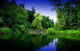 Zen Garden 2 By Pueang On Deviantart Hd Nature Wallpapers Zen Garden Zen Wallpaper