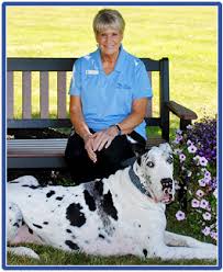 As a healthcare facility, we already have experience with offering solutions to prevent the spread of contagious diseases in. Veterinarians York Ny Veterinarians York Ny Animal Hospital