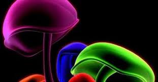 اشكال غرف ليفنج روم مودرن images of modern living rooms 2019 iphone wallpaper android wallpaper wallpaper