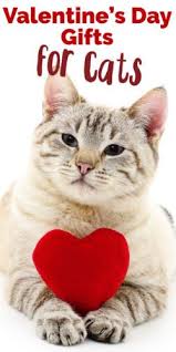 Shop By Category Ebay Favorite Things Gift Cat Gifts Favorite Things List