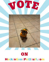 Kodi Mann (@heckingoodpetstuff) • Instagram photos and videos