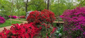 Check spelling or type a new query. Richmond Park London Touristenattraktionen Tropter Com
