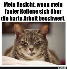 Mein Gesicht Wenn Mein Fauler Kollege Sich Uber Die Harte Arbeit Lustige Bilder Spruche Witze Echt Lustig Arbeit Lustig Lustige Bilder Kollegen