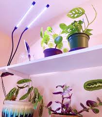 We did not find results for: The Best Grow Lights For Houseplants Sprouts And Stems