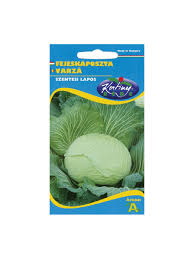 Image result for hlávková kapusta