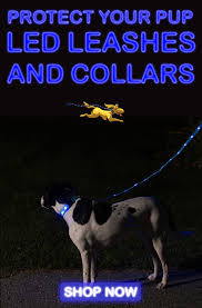 The Nite Beams Led Dog Collar And Leash Are Very Durable And Bright They Are Our Top Choice In A Lighted Dog Collar Light Led Dog Collar Dog Collars Leashes