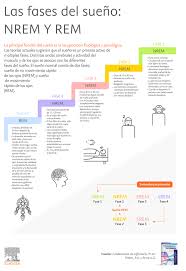 Un equipo estadounidense ha identificado dos variantes genéticas en individuos que duermen menos que la media. Las Fases Del Sueno Nrem Y Rem Ambiente Idoneo Y Beneficios Para La Salud