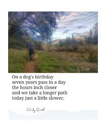 Tanka A Dogs Birthday Cindy Smith Dog Birthday Cindy Smith Tanka