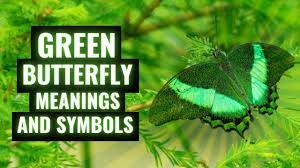 Check spelling or type a new query. Meaning Of Butterfly What It Means When You See A Green Butterfly Often Youtube