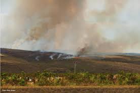 Fire extinguishers can be invaluable tools to help fight smaller fires in the workplace or to protect evacuation routes in the event of a larger one. News Center Hawaii Wildfire Management Organization