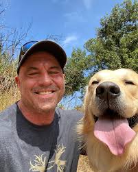Joe Rogan