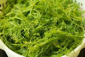 December 2019 new private limited companies pune roc. What Is Bhaji In English