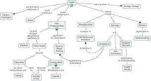 Lipids What Is The Structure Function And Significance