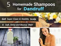 5 Homemade Anti Dandruff Shampoos Get Clean Clear Scalp Hair Buddha