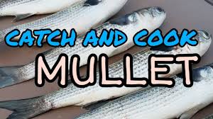 Cut into 3 1/2 inch length (jar height) place in hot, sterile jars with skin next to glass. How To Cook Mullet Two Recipes Youtube