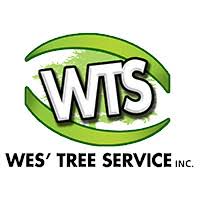 If you benefit from these materials, just click the link below! Certified Tree Arborist Barrie On Wes Tree Service