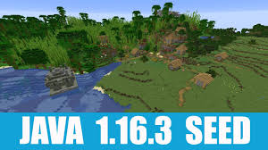 It has 4% chance to drop when sieving dirt with a string mesh. Minecraft Java 1 16 3 Seed Stunning Bamboo Jungle Village And Jungle Pyramid Stand Close To Spawn Youtube