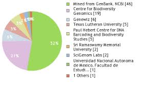 Image result for Tragia incisifolia