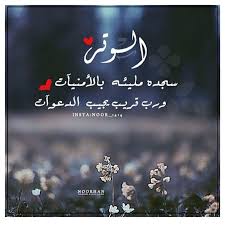 حديث صلاة الوتر Love Words Islamic Quotes Arabic Words