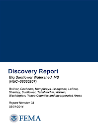 Discovery Report
