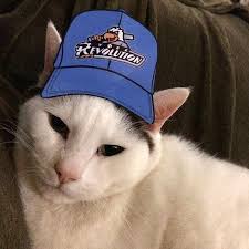 Lb Is Wearing A York Revolution Baseball Hat Print The Hat For Your Cat Here Http Www Flipsidepa Com Ci 25225288 Cats Hat Cat Hat Hat Crafts Baseball Hats