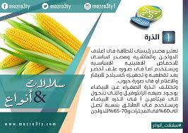 النهاردة هنكلمكوا عن أنواع الأعلاف وهنبدأ بأول حاجة وهى الذرة تعتبر الذرة مصدر رئيسى للطاقة فى أعلاف الدواجن والماشية تابعونا السبت ال Corn Food Vegetables